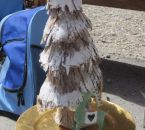 IMG_0269.jpg